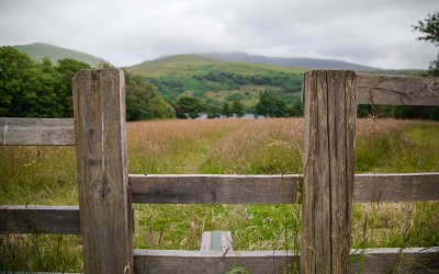 24-06-25-trigonos-0069-web.jpg 24-06-25-trigonos-0069-web.jpg