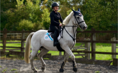 img-4135.png img-4135.png