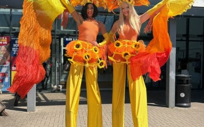 img-6870.jpeg img-6870.jpeg