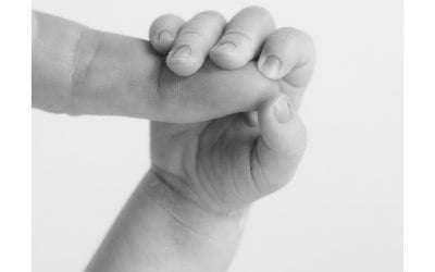 Feature New Born Photography