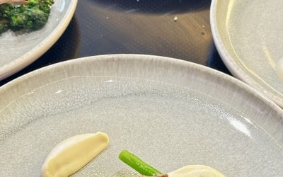 img-0105.jpeg