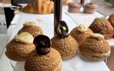 img-5823.jpeg img-5823.jpeg