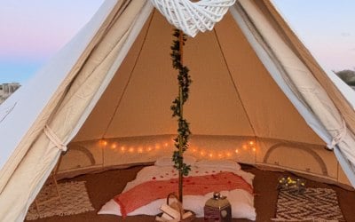 img-0444.jpeg img-0444.jpeg