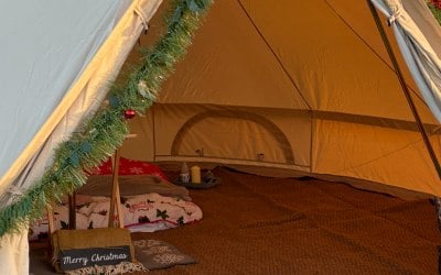 img-0421.jpeg img-0421.jpeg