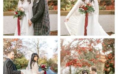 inbound2227146562264678857.jpg inbound2227146562264678857.jpg