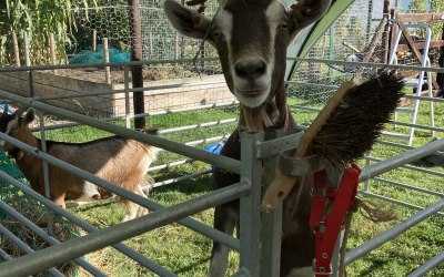 img-2010.jpeg img-2010.jpeg