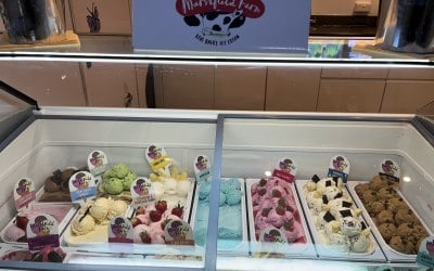 img-5541.jpeg img-5541.jpeg