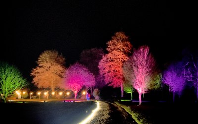 img-8015.jpg img-8015.jpg