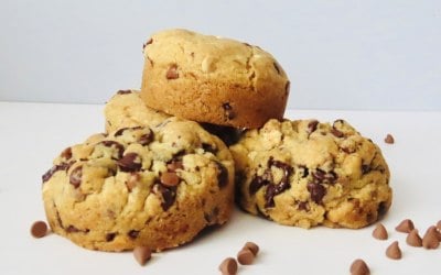 img-3019.jpeg img-3019.jpeg