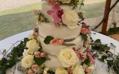 img-5899-2.jpg img-5899-2.jpg