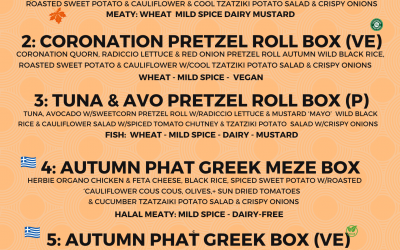 v2-cat-16.09.25-1.png v2-cat-16.09.25-1.png