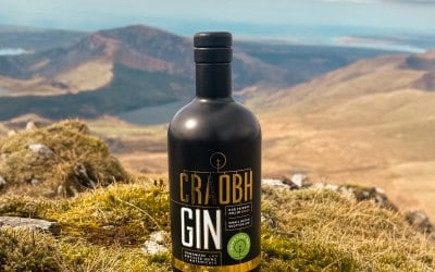 img-2565-jpg.jpeg img-2565-jpg.jpeg