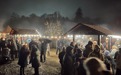 screenshot-2026-03-27-at-09.29.36.png screenshot-2026-03-27-at-09.29.36.png