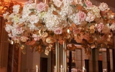 statement-wow-factor-2025.jpg statement-wow-factor-2025.jpg