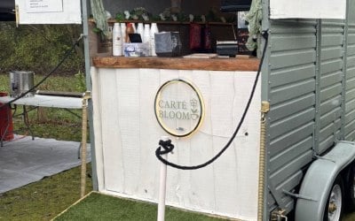 img-8495.jpeg img-8495.jpeg