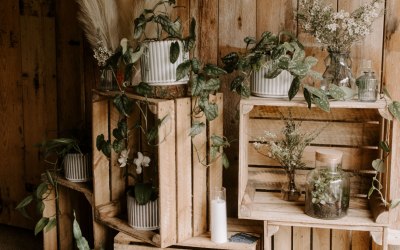 img-2993.jpeg img-2993.jpeg