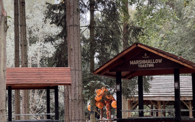 screenshot-2026-03-27-at-09.23.24.png screenshot-2026-03-27-at-09.23.24.png