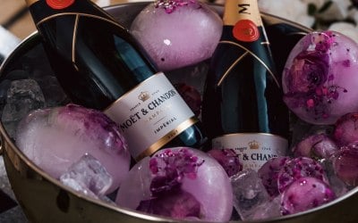 img-3783.jpeg img-3783.jpeg