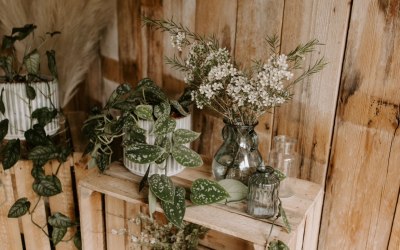 img-2994.jpeg img-2994.jpeg