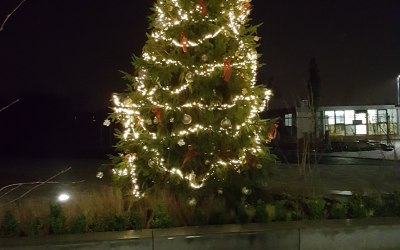 Christmas Tree Light Switch on
