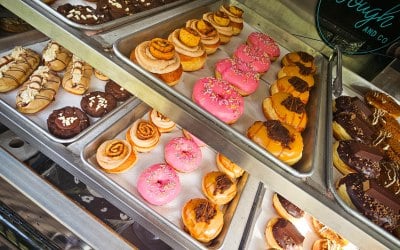 Doughnut Display - Van