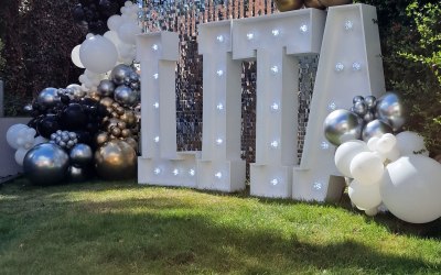 Silver sequin wall and name in lights