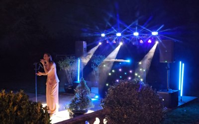 Work with Solo Artists