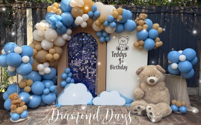 1st birthday Teddy theme 