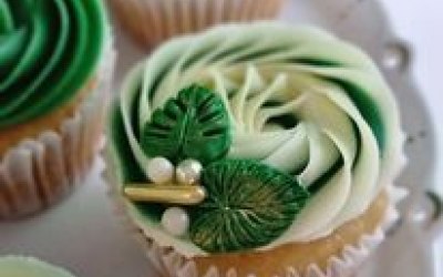 Jungle Themed Cupcakes
