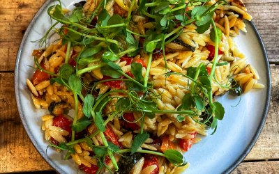 Orzo Salad dressed with Pea Shoots
