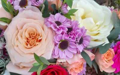 Pastel combinations Pastel combinations