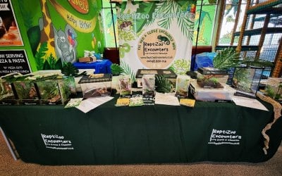 Pop-up Meet the animals/Mini Zoo/Petting Zoo