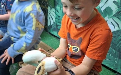 Animal Experiences