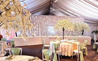 Weeping blossom centrepieces and happily ever after neon sign for wedding reception