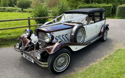 Dolly our Beauford