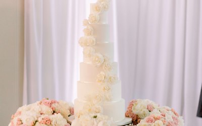 6 tier all white wedding cake