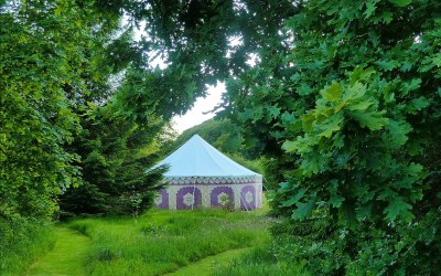 A annual yoga retreat in the woods