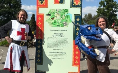 Knight and Dragon show