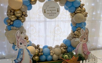Peter Rabbit Theme Balloon Hoop