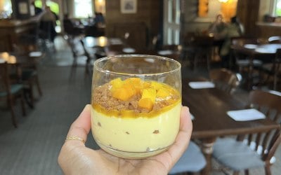 Mango cheesecake 