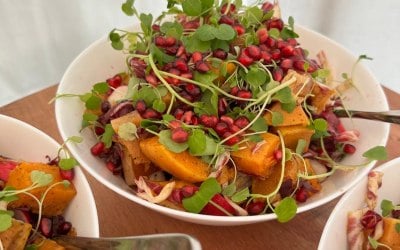 Squash salad 