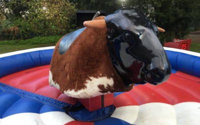 Rodeo bull hire by www.mrbouncescrazycastles.co.uk