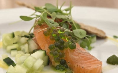 Cured salmon 