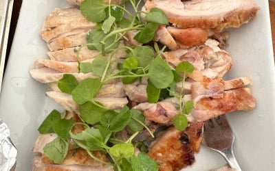Duo of chicken to share 