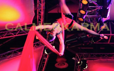 Circus themed performers to hire 