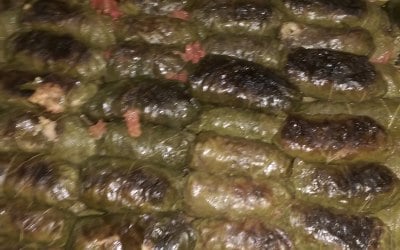 stuffed vine leaves