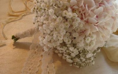 Hydrangea and Gypsophila Bouquet