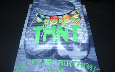 Ninja turtle cake