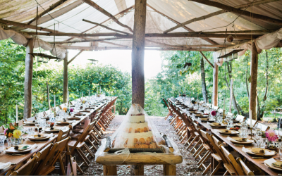 Beautiful woodland wedding in Sussex