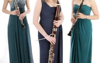 The Marylebone Trio provides classical music for weddings and events